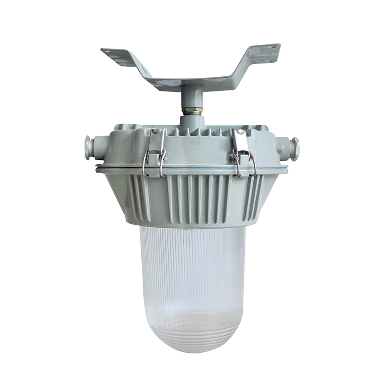 BFD51-L固定式高强度气体放电灯灯具